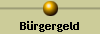 B�rgergeld